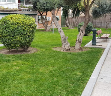 Trabajos de jardinería