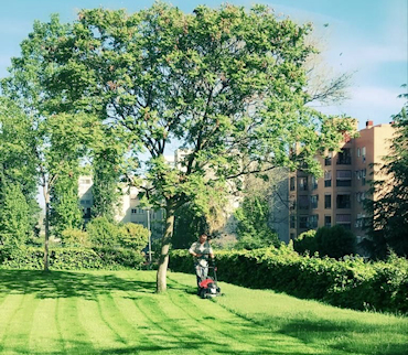 Trabajos de jardinería