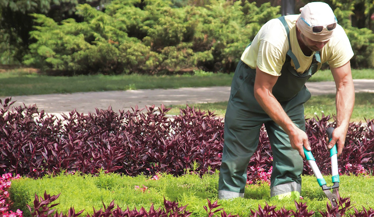 Nuestro servicio de jardinería